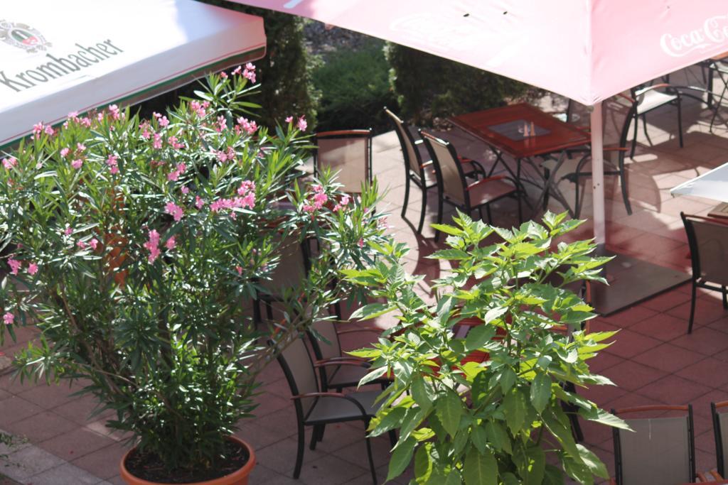 Parkhotel Altes Kaffeehaus Wolfenbüttel Eksteriør bilde